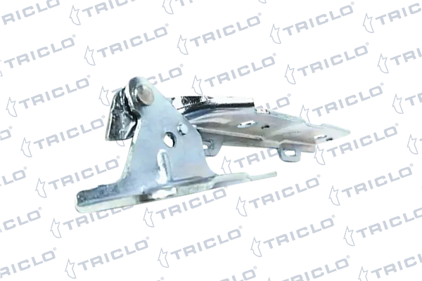 201966 Triclo