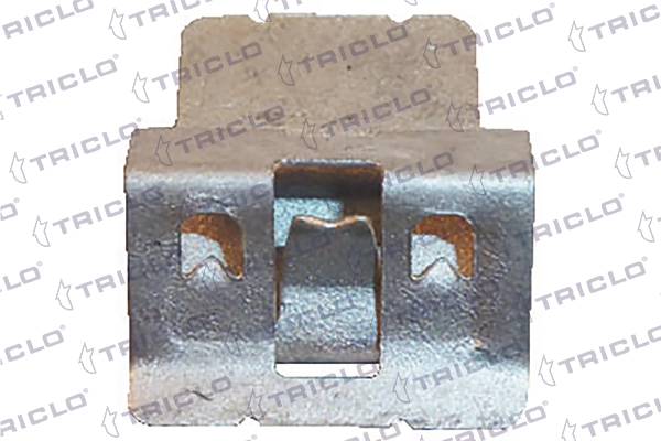 161838 Triclo