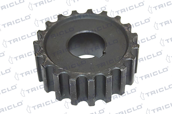 Piñón del cigüeñal 90354858 GM