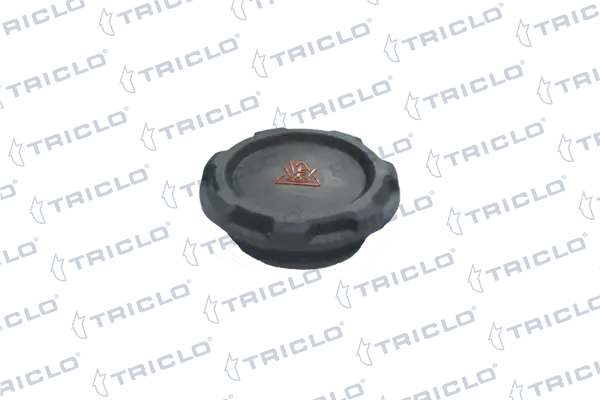313328 Triclo