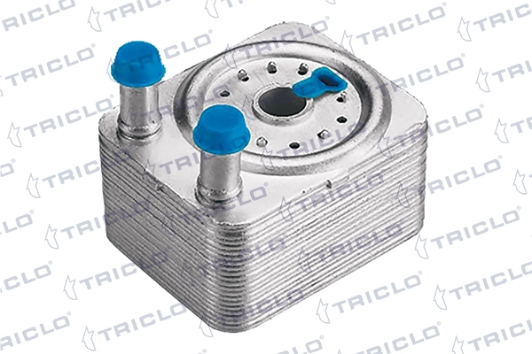 413194 Triclo