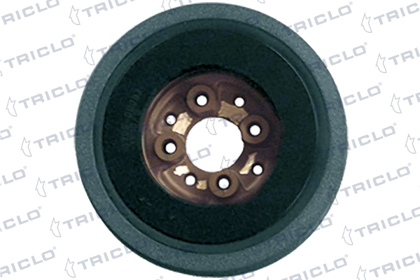  Polea de cigüeñal Audi A4 