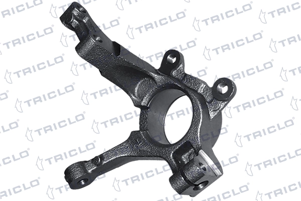 765775 Triclo