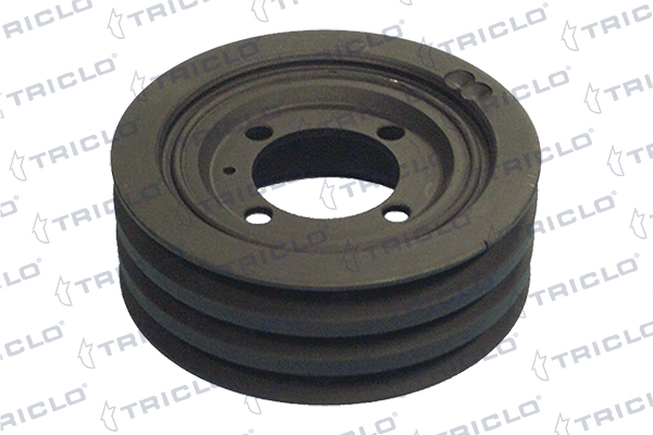 428130 Triclo