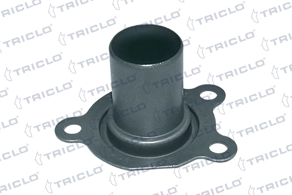 623988 Triclo