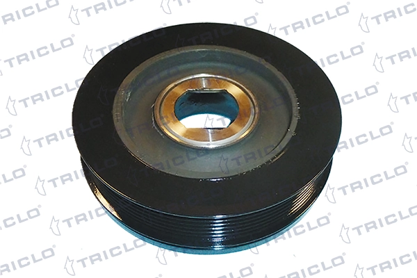 425805 Triclo