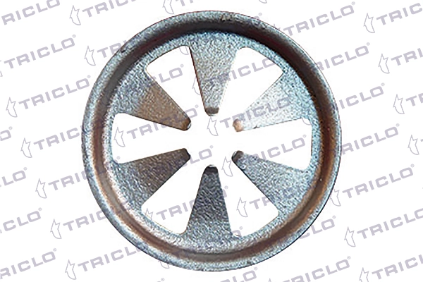 161790 Triclo