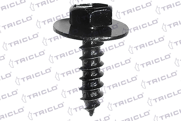161847 Triclo