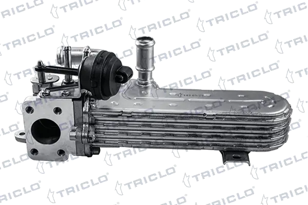343668 Triclo