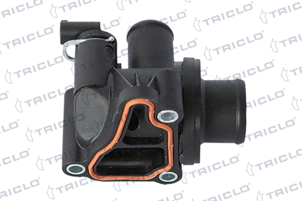 462141 Triclo
