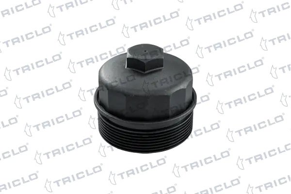 313282 Triclo