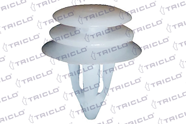 163843 Triclo