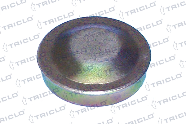 328705 Triclo