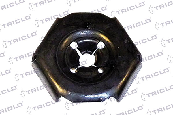 164465 Triclo