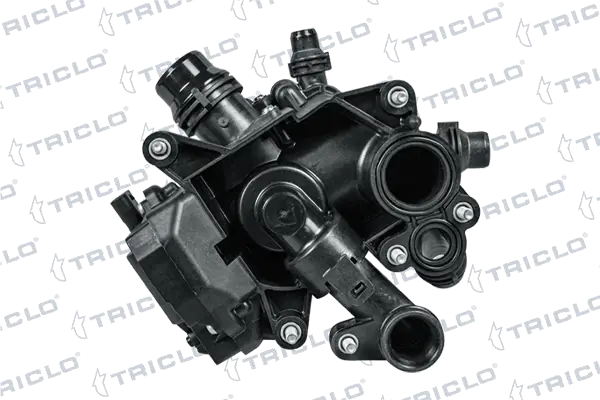462033 Triclo