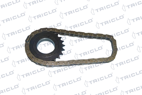 425869 Triclo