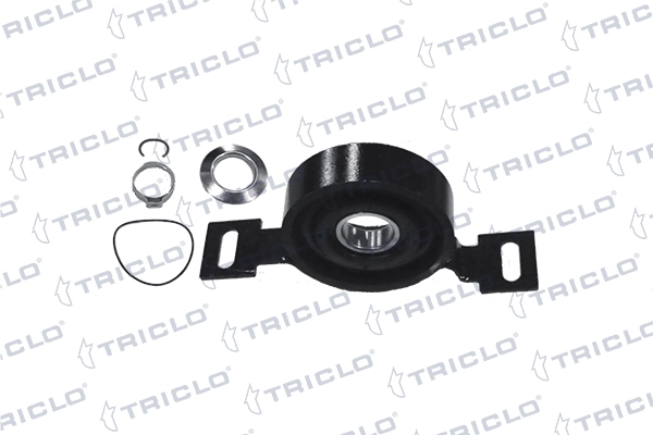 675020 Triclo