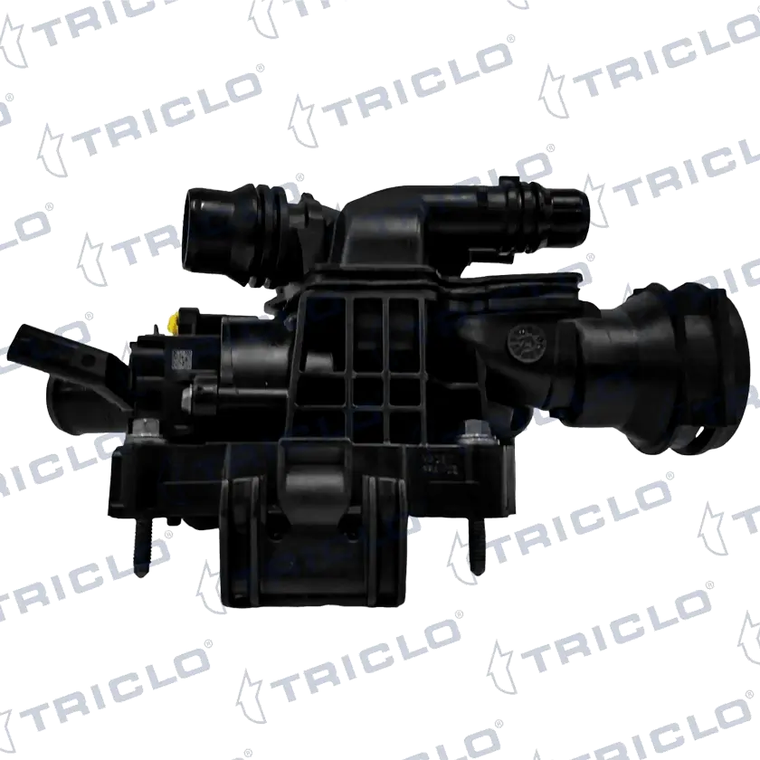 461924 Triclo
