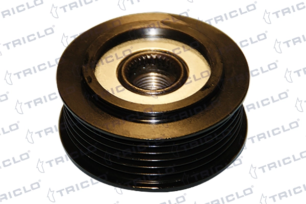 423981 Triclo