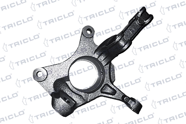 765888 Triclo