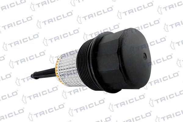 312143 Triclo