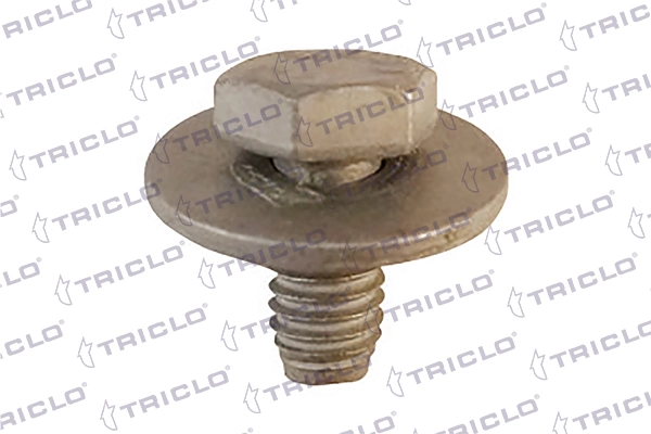 161798 Triclo