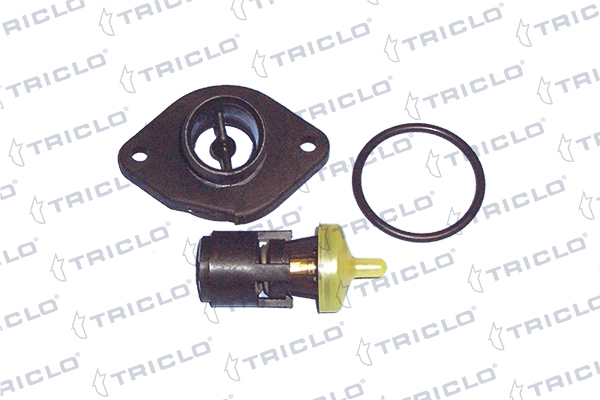 463826 Triclo