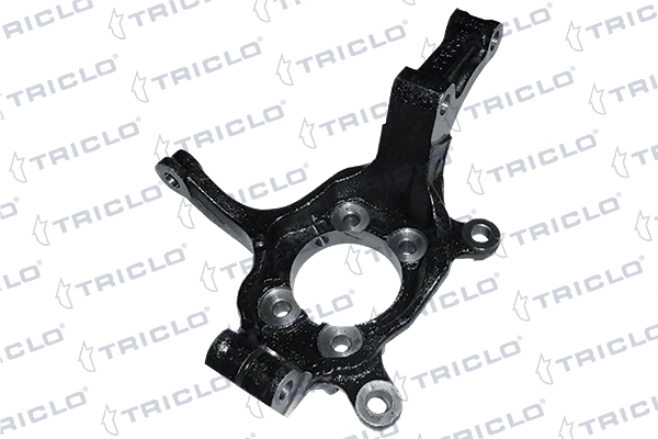 766590 Triclo