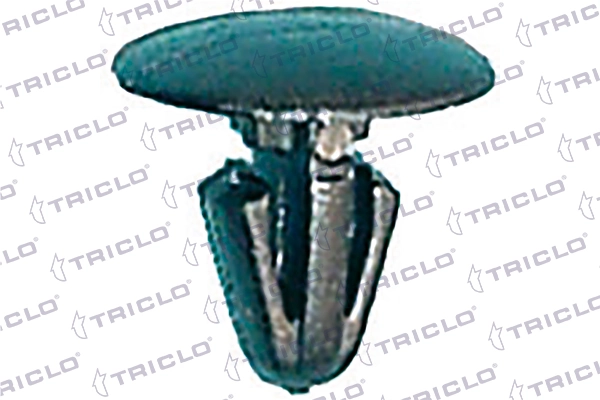 162880 Triclo
