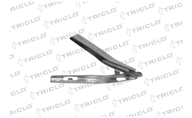201982 Triclo