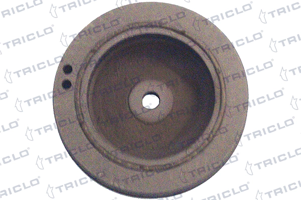 Polea dámper Renault Scenic I