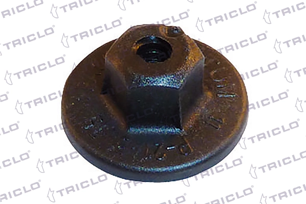 163830 Triclo