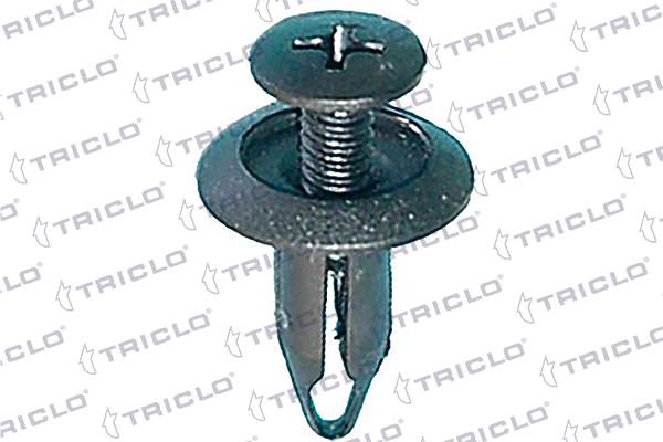 162957 Triclo