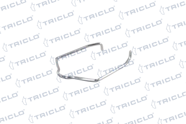 303803 Triclo
