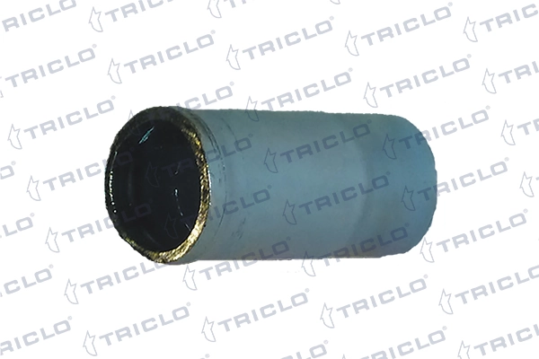 455223 Triclo