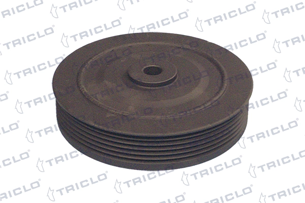  Polea de cigüeñal Renault Scenic 1