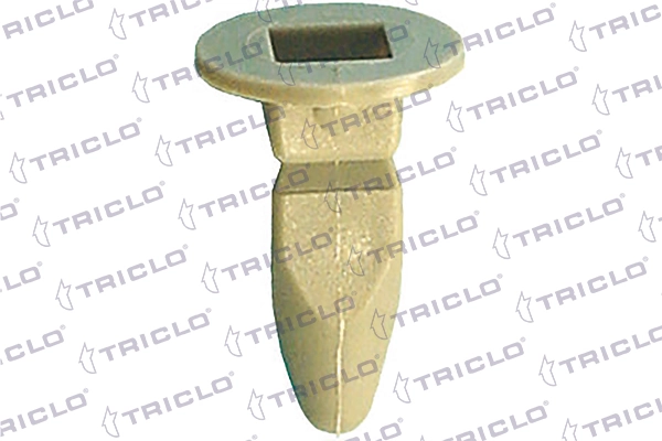 162930 Triclo