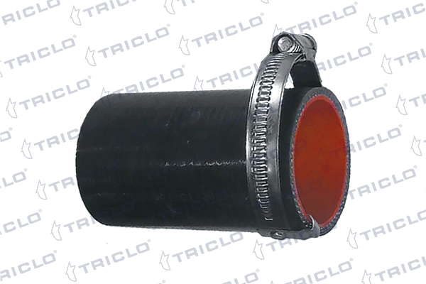 527245 Triclo