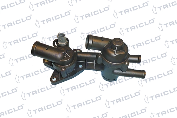 462231 Triclo