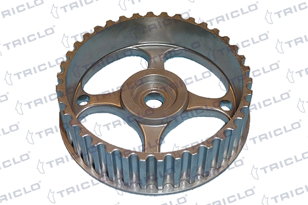 425703 Triclo
