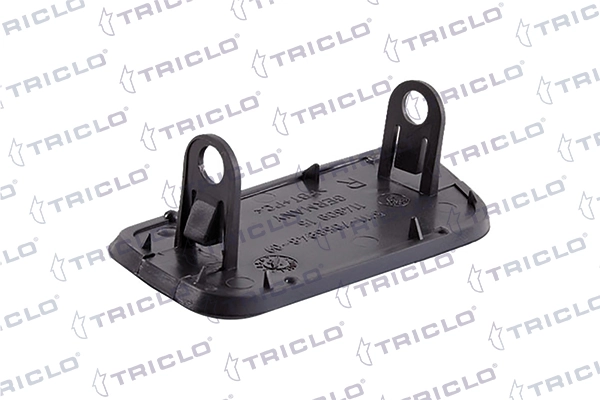 190207 Triclo