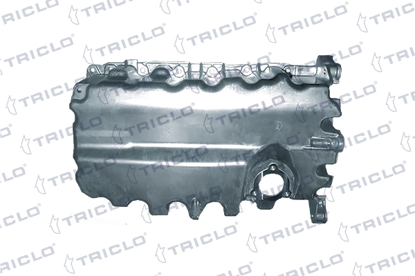 403989 Triclo
