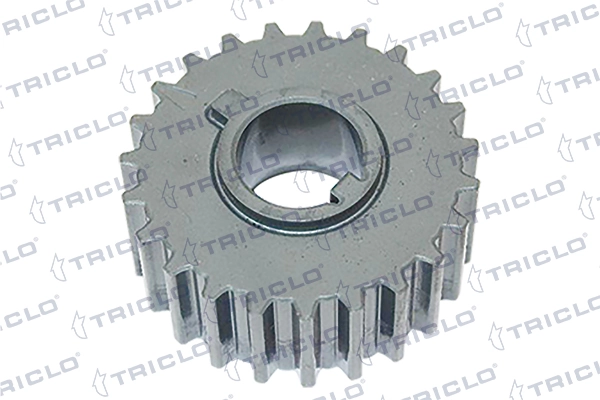 428858 Triclo