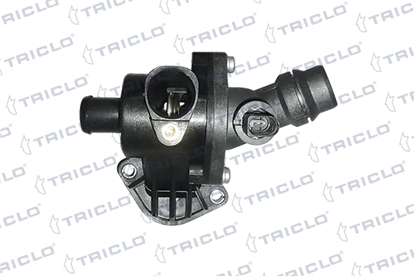 463245 Triclo