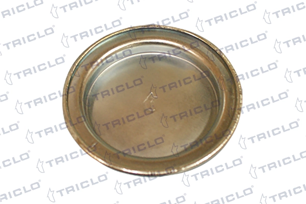 322624 Triclo
