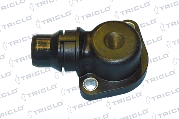 462398 Triclo