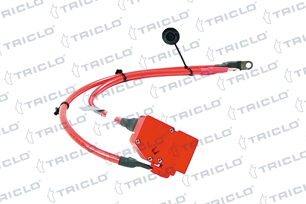 972482 Triclo