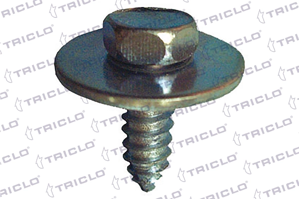 161743 Triclo
