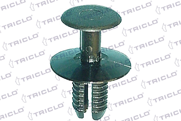 163069 Triclo