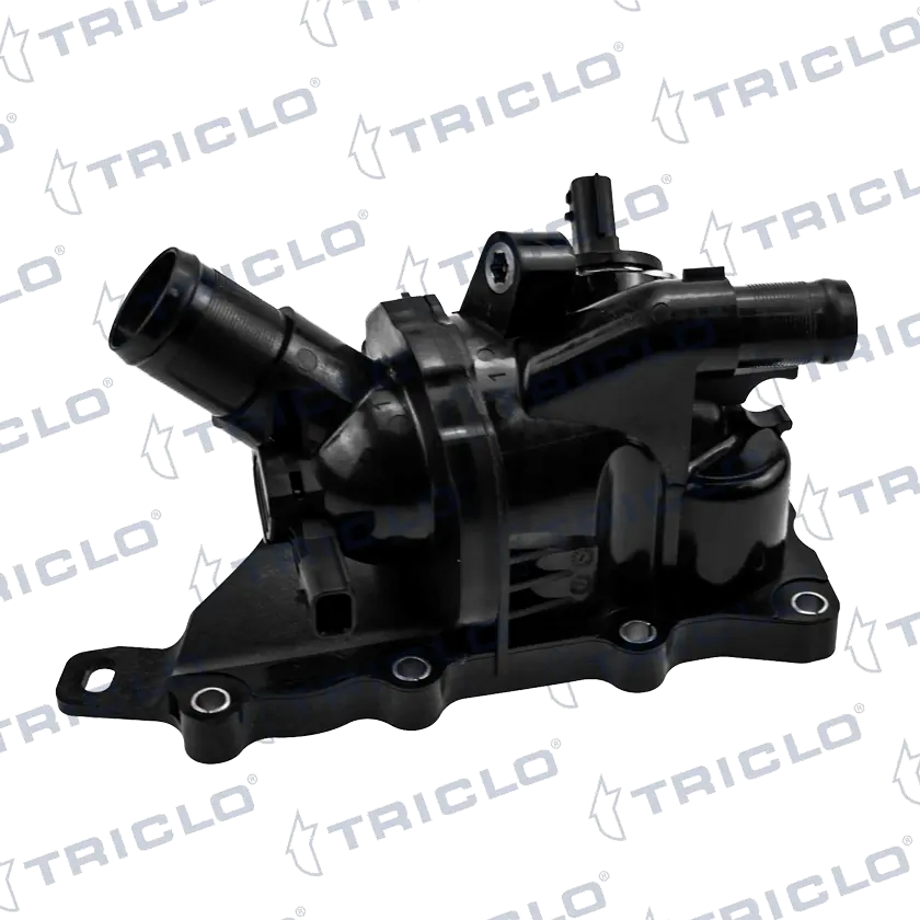465558 Triclo